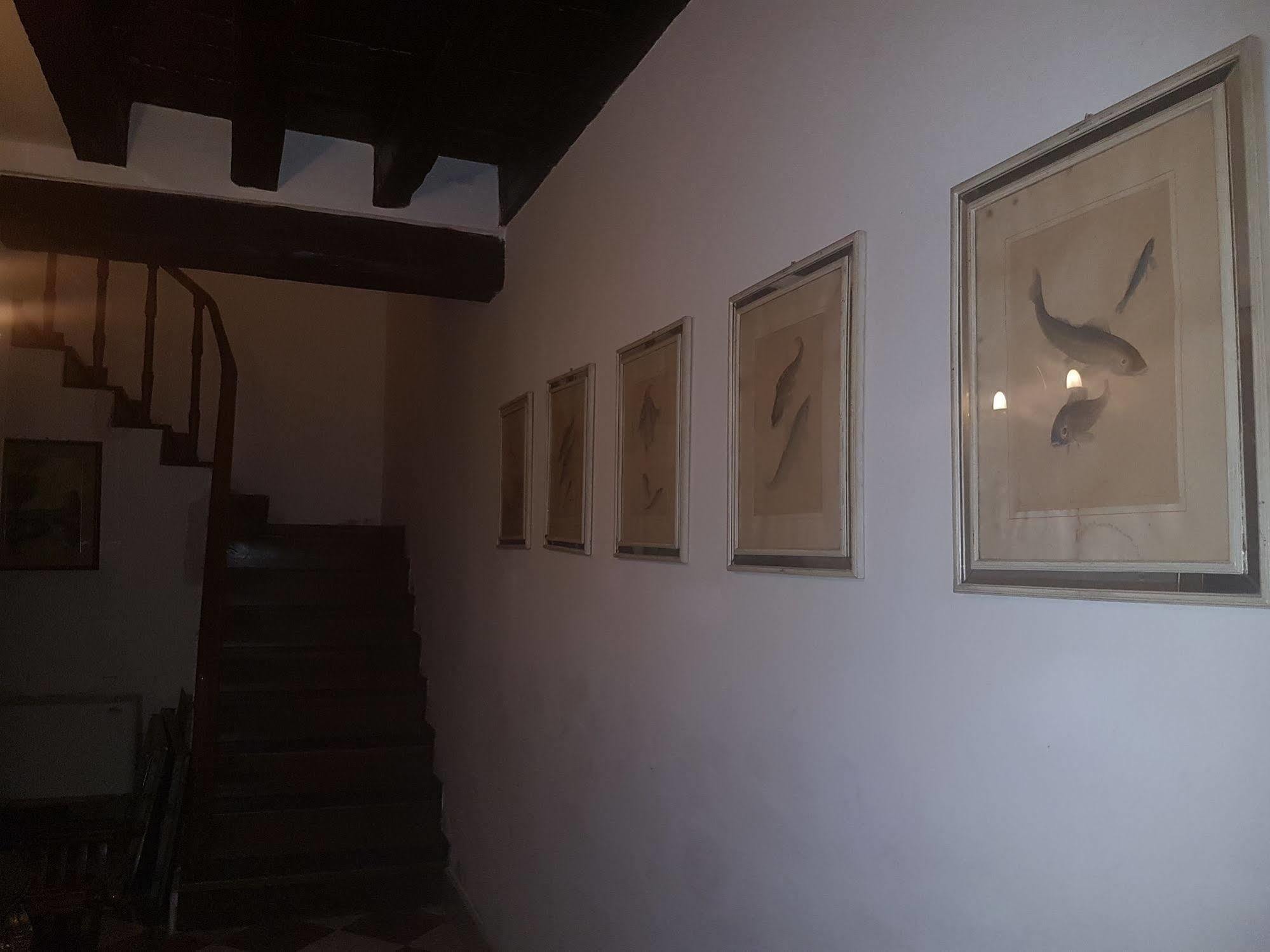 Affittacamere Casa Arte